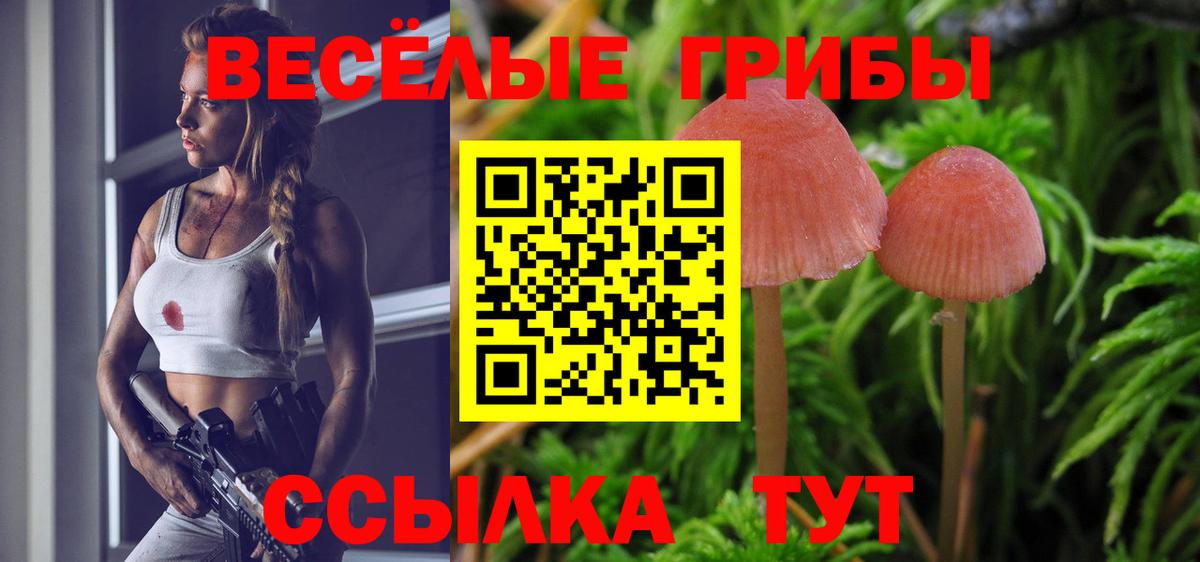 Псилоцибиновые грибы Psilocybine cubensis  Вход с VPN  Чебоксары 