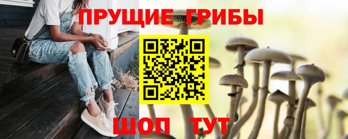 Псилоцибиновые грибы мухоморы Чебоксары